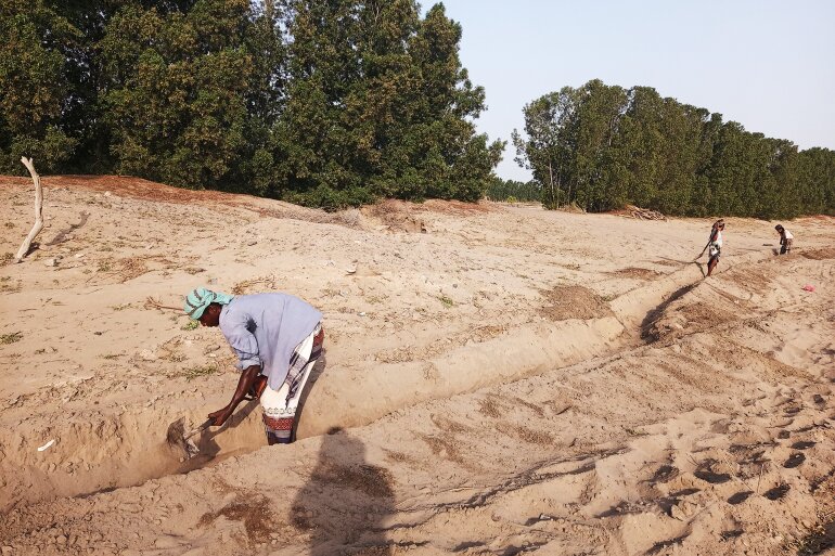 تغییرات اقلیمی زمینهای یمن را میبلعد/ کشاورزان بیزمین، خانوادهها بینان