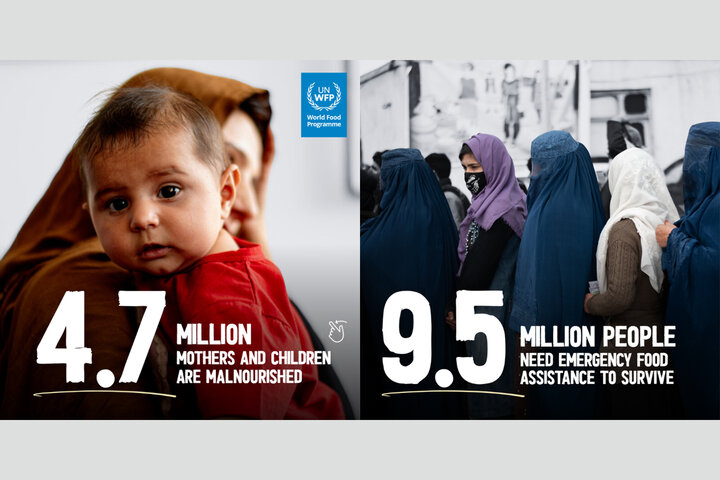 برنامه جهانی غذا برای کمک به افغانستان ۵۶۸ میلیون دلار بودجه درخواست کرد