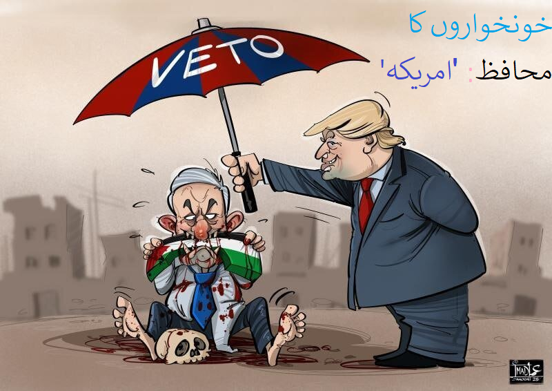 کارٹون | مریکی ویٹو