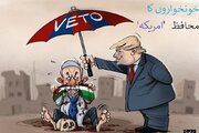 کارٹون | مریکی ویٹو