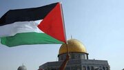 جرمنی کی لیفٹ پارٹی نے فلسطین کو آزاد ریاست کے طور پر تسلیم کرنے کا مطالبہ کر دیا