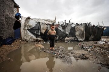 In Gaza… When House Turns into a Tent: Pain of Palestinian Displacement