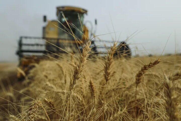 انجمن‌های کشاورزی عراق خواستار برنامه‌ریزی جامع و حمایت دولت شدند