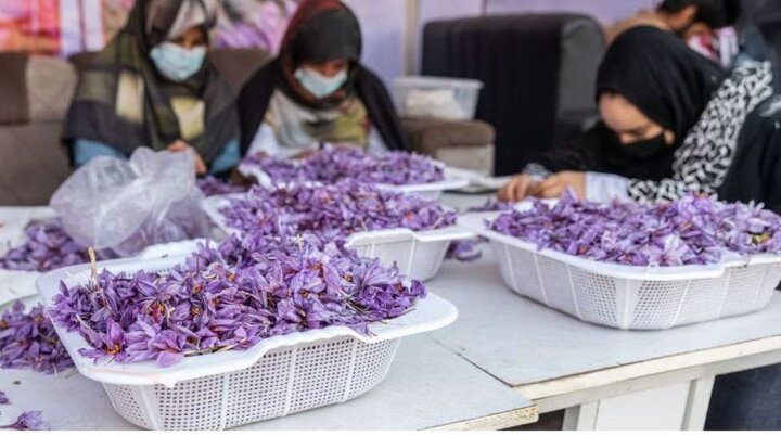 رونق کسب و کار زنان افغانستان در سایه‌ی محدودیت‌های طالبان