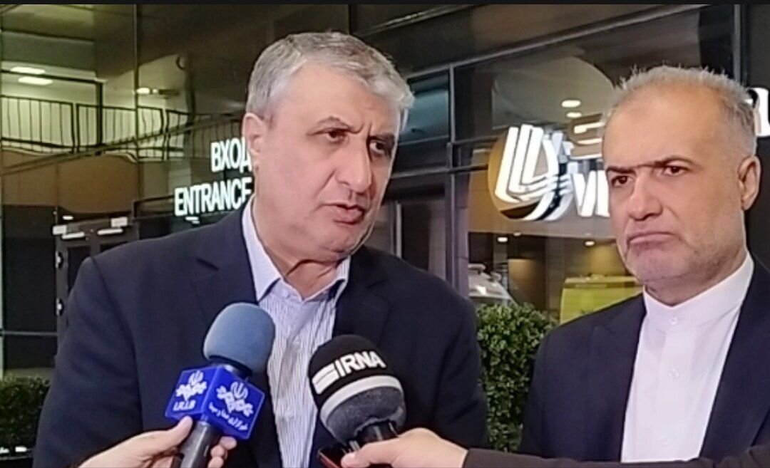 Iran’s Nuclear Chief slams western interference in international agencies