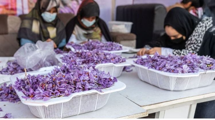 رونق کسب و کار زنان افغانستان در سایه‌ی محدودیت‌های طالبان