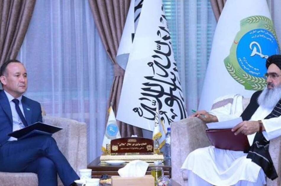 دیدار وزیر بهداشت عمومی افغانستان با سفیر قزاقستان؛ وعده آموزش و اعزام تیم جراحی برای زخمی‌های زلزله