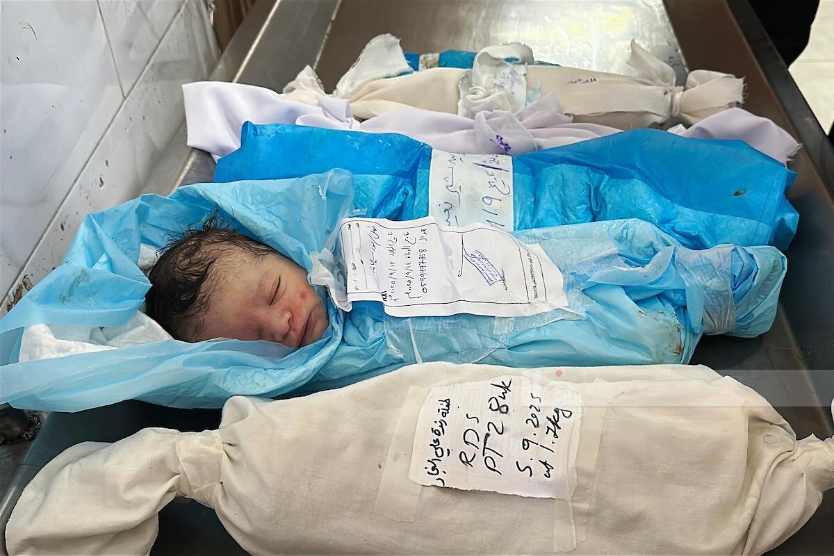 Starvation claims lives of three children in Gaza