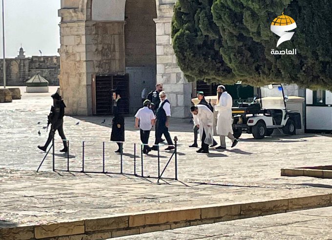 Fanatic Jewish settlers storm al-Aqsa Mosque while singing and clapping on Jewish new year