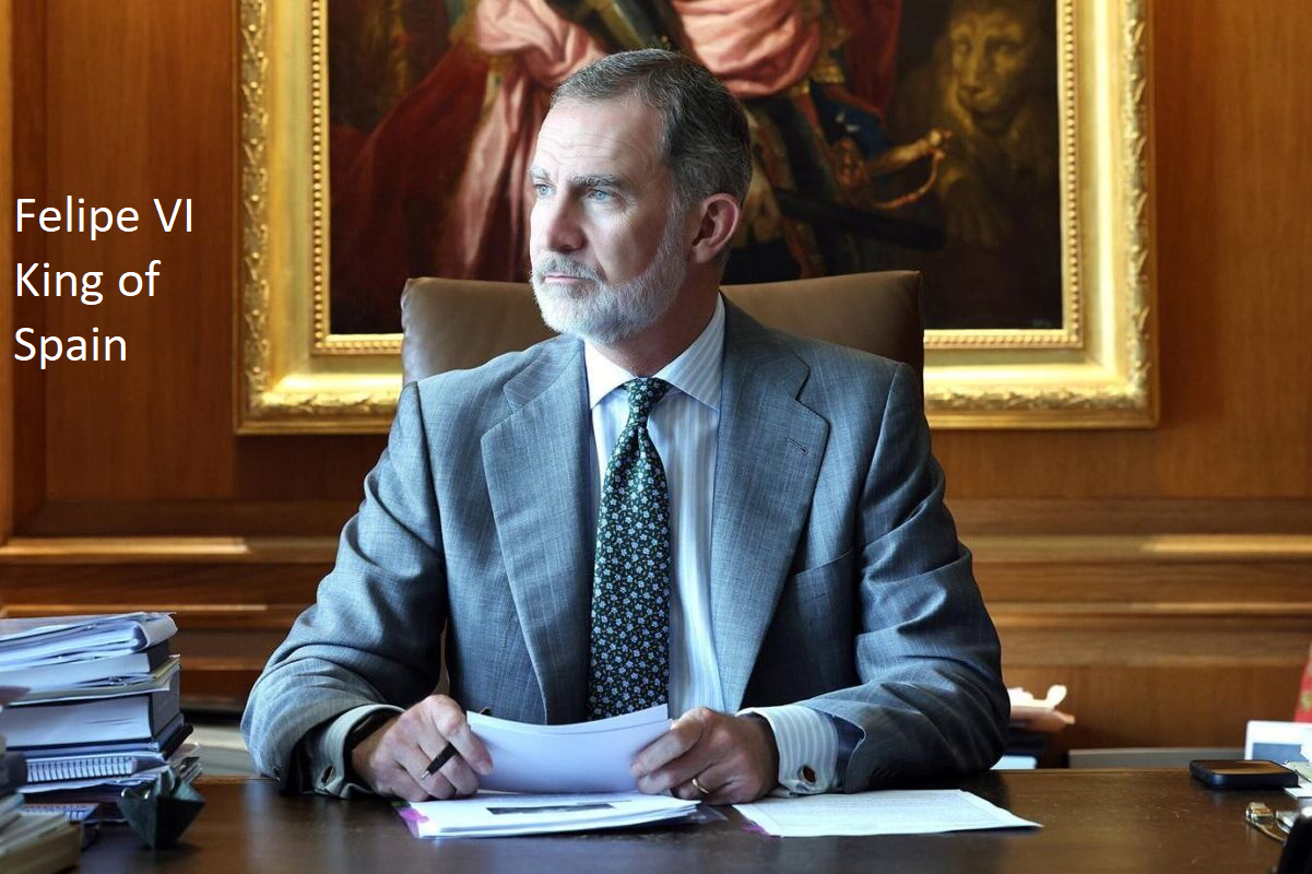 اسپین نے صمود بیڑے کے دفاع کے لئے سمندر میں جنگی جہاز تعینات کر دیا