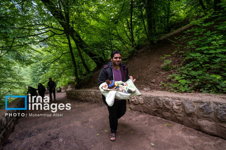 Əsrarəngiz Kaspi Hirkan Qarışıq Meşələri. Gülüstan əyaləti \ FOTO