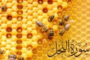 دشمن اس طرح ہم پر اور ہمارے خیالات پر تسلط جماتا ہے