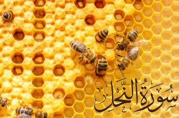 دشمن اس طرح ہم پر اور ہمارے خیالات پر تسلط جماتا ہے