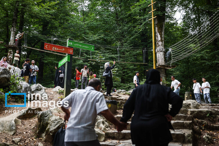 Əsrarəngiz Kaspi Hirkan Qarışıq Meşələri. Nəməkabrudda həyəcan zirvəsi \ FOTO
