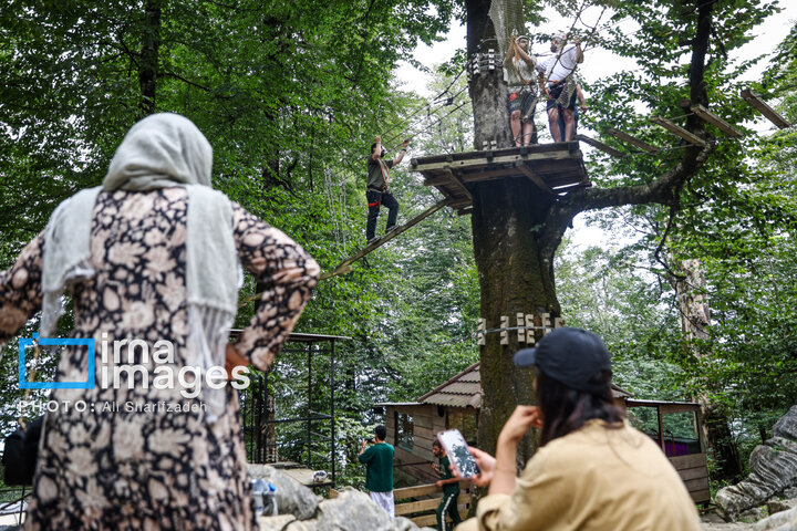 Əsrarəngiz Kaspi Hirkan Qarışıq Meşələri. Nəməkabrudda həyəcan zirvəsi \ FOTO