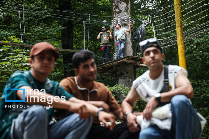 Əsrarəngiz Kaspi Hirkan Qarışıq Meşələri. Nəməkabrudda həyəcan zirvəsi \ FOTO