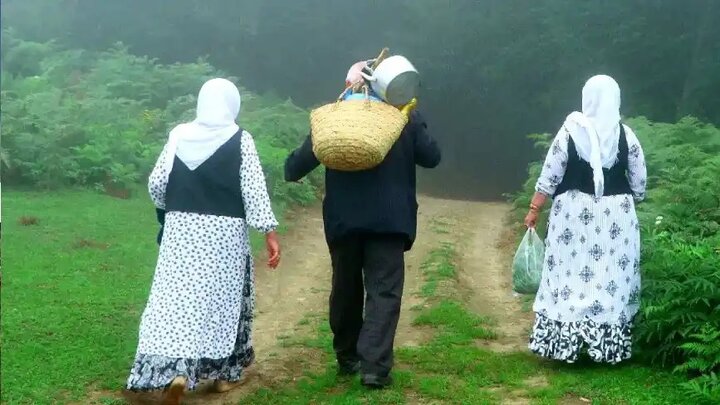 Əsrarəngiz Kaspi Hirkan Qarışıq Meşələri. Məryan kəndi – Sizi arzularınıza çatdıran kənd