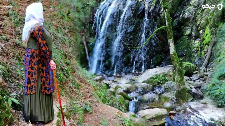 Əsrarəngiz Kaspi Hirkan Qarışıq Meşələri. Məryan kəndi – Sizi arzularınıza çatdıran kənd