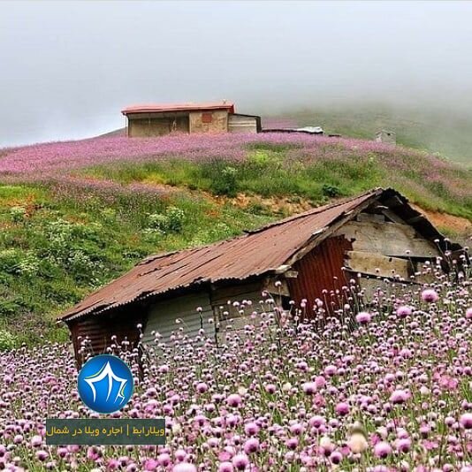Əsrarəngiz Kaspi Hirkan Qarışıq Meşələri. Məryan kəndi – Sizi arzularınıza çatdıran kənd