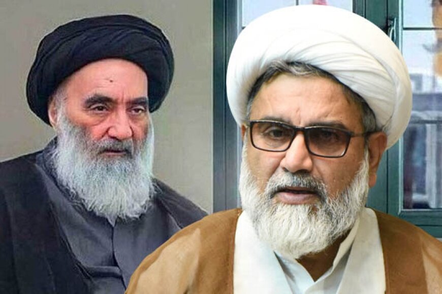 Pak Senator Sends Condolences Message on demise of Wife of Grand Ayatollah Sistani