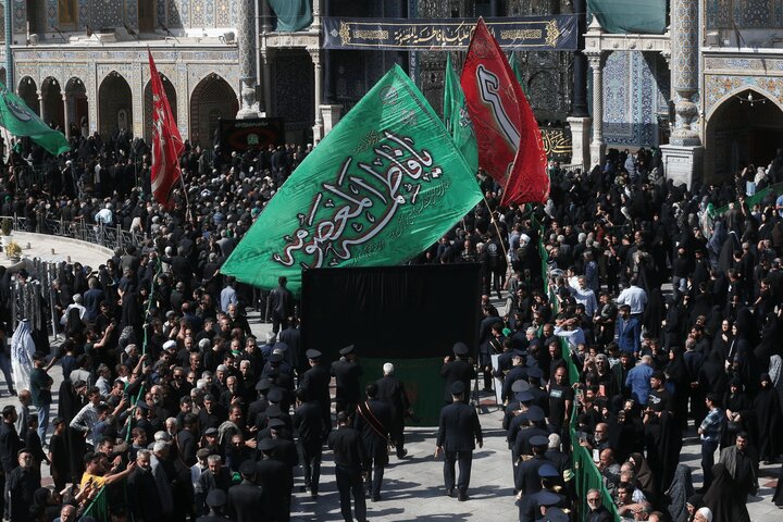 تصویری رپورٹ