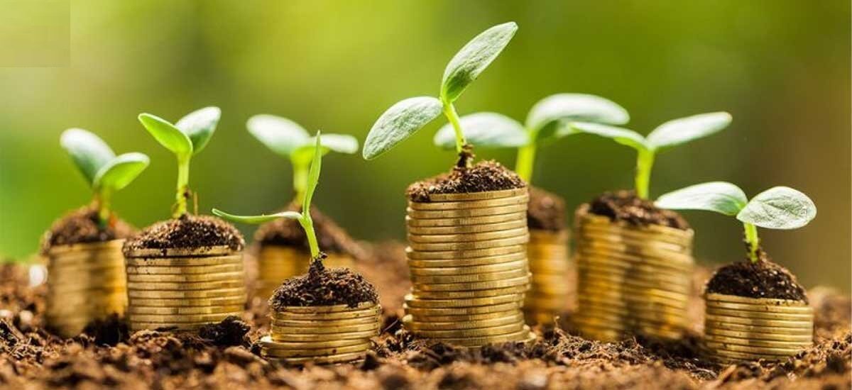 عوامل افزایش روزی حلال