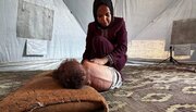 UNICEF warns of catastrophic conditions for mothers, newborns in Gaza