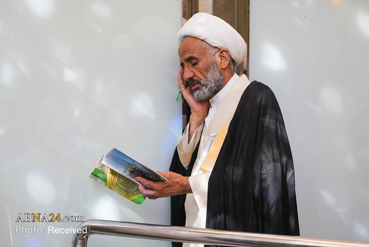 قاب‌هایی از خلوص زائران در سایه گنبد زرین علی (ع)