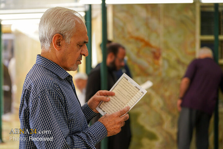 قاب‌هایی از خلوص زائران در سایه گنبد زرین علی (ع)