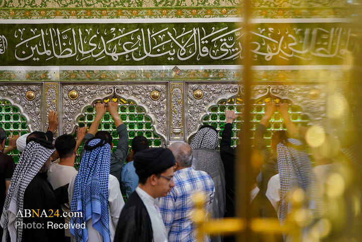 قاب‌هایی از خلوص زائران در سایه گنبد زرین علی (ع)