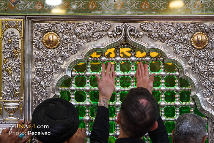 قاب‌هایی از خلوص زائران در سایه گنبد زرین علی (ع)