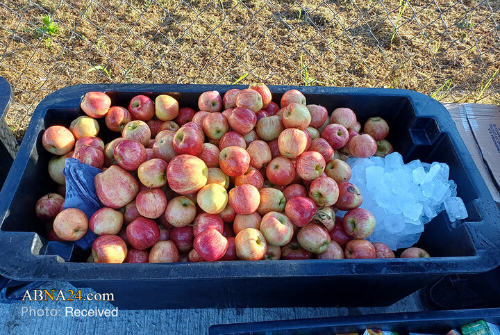 ایستگاه صلح و خدمت داوطلبان «حسین کیست؟» در مراسم زیارت لوخان