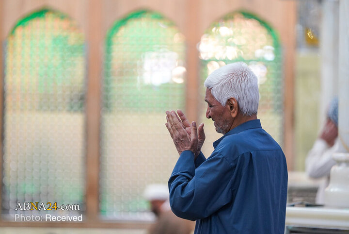 Informe fotográfico | Instantáneas de la devoción de los peregrinos bajo la sombra de la dorada cúpula del Imam Alí (la paz sea con él)