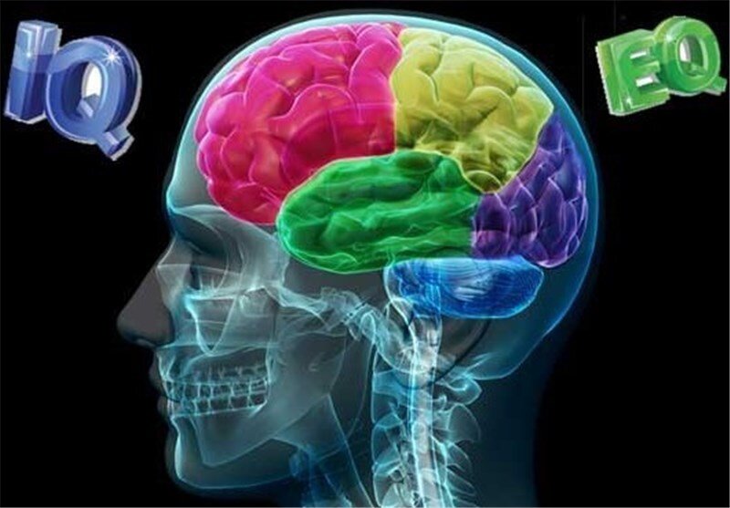 کنترل و جهت‌دهی هوش هیجانی در کودکان