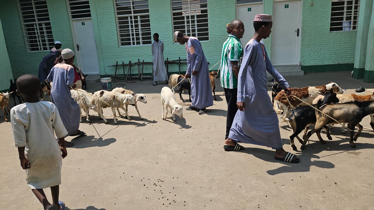 Shule ya Imam Zaynul Aabidin (a.s) Yatoa Msaada wa Mifugo kwa Waislamu wa Bujumbura - Burundi +Picha
