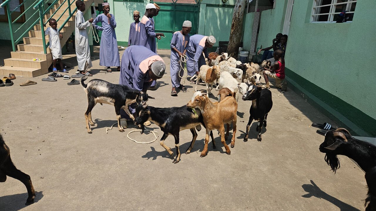 Shule ya Imam Zaynul Aabidin (a.s) Yatoa Msaada wa Mifugo kwa Waislamu wa Bujumbura - Burundi +Picha