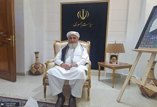 Kabul Professor Urges Economic Sanctions Against Israel, Criticizes Muslim Silence on Gaza Atrocities