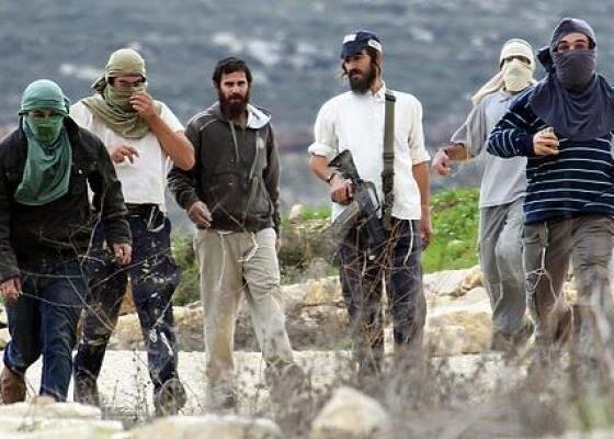 West Bank Extremist Jewish Settlers Escalate Attacks on Palestinian Lands and Farmers