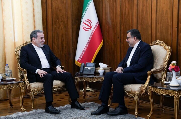 Araghchi Urges Stronger OIC Role in Gaza Crisis