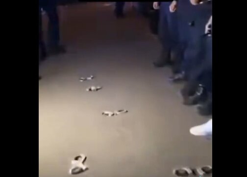 Video | Polis Di Perancis Menolak Ketidakadilan