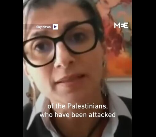 Video | Pakar PBB Soal Kenapa Hanya Palestin Perlu 'Letakkan Senjata & Hilangkan Fahaman Radikal'