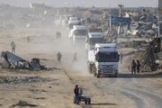 173 aid trucks enter Gaza following ceasefire between Hamas, Israel