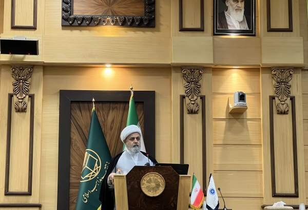 Sheikh Shahriari: Global awakening, biggest achievement of two-year Gaza war