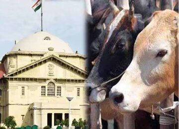हाईकोर्ट न लगाई योगी सरकार को फटकार, मुसलमान को किया जा रहा है प्रताड़ित