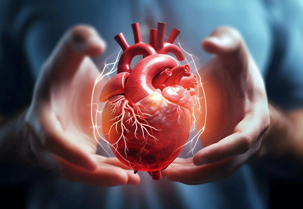 پیوند اندیشه و قلب: رازهای علمی که روح را جلا می‌بخشند!