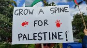 Photos: People of Whangarei, New Zealand stand in Solidarity with Palestine