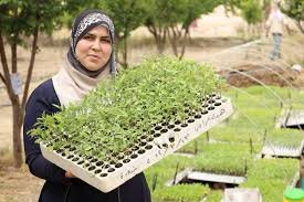 Plano ng FAO: $263 Milyong Dolyar para sa Pagsagip sa Agrikultura ng Lebanon