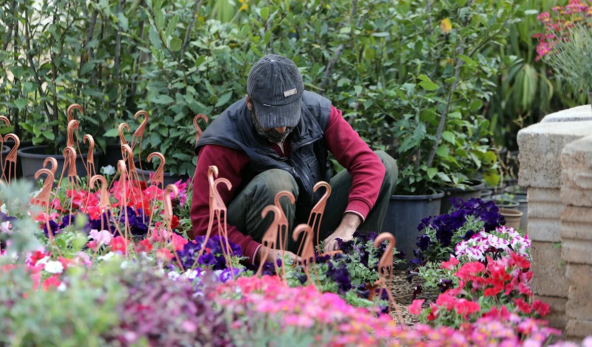 طرح اضطراری برای احیای زمین‌های ویران‌شده جنوب و بقاع/ برنامه ۲۶۳ میلیون دلاری برای نجات کشاورزی لبنان