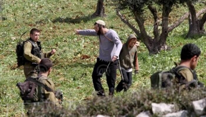 Palestinian injured in settlers’ attack on farmers in Nablus
