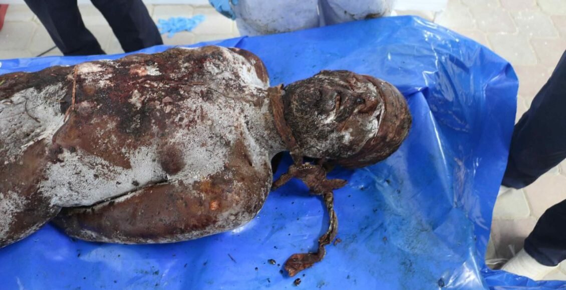 Systematic Execution, Torture: Bodies of Gaza Detainees Expose Israeli Atrocities